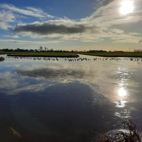Polder Path
