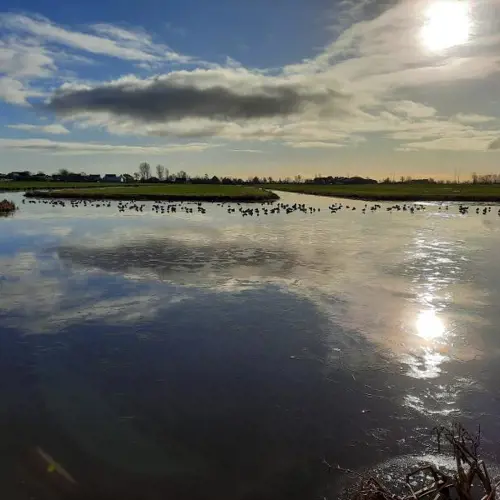 Polder Path