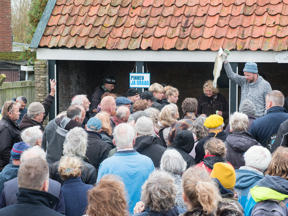 Wat is er gebeurd met de augurken?
