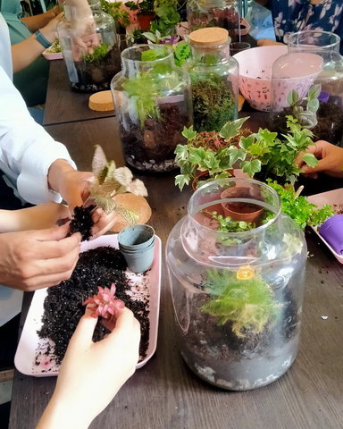 Maak je eigen planten ecosysteem