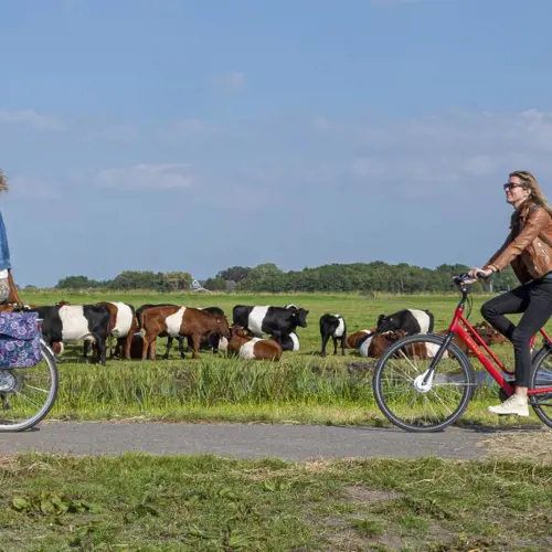 Fiets and Foodroute