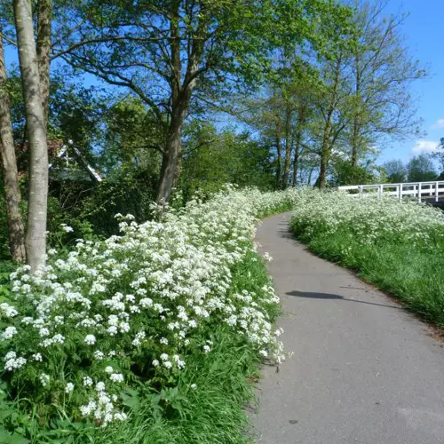 Green Loops: Woubrugge
