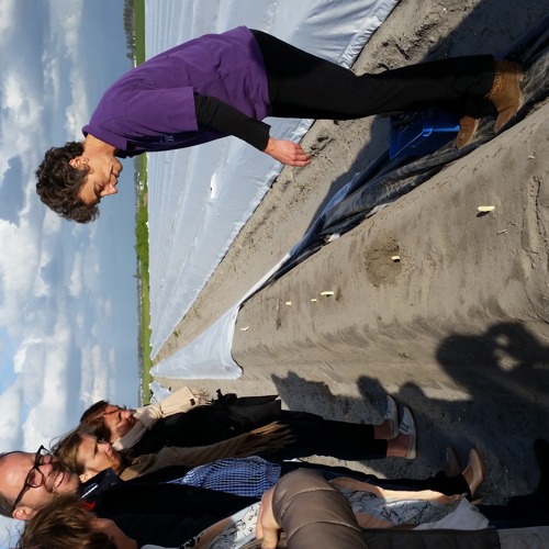 placeholder img alt text