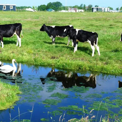De Smaak van de Polder