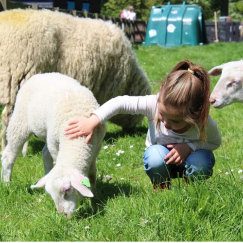 placeholder img alt text