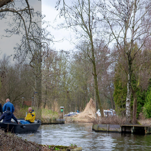 placeholder img alt text