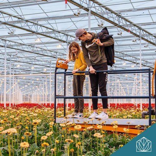 placeholder img alt text