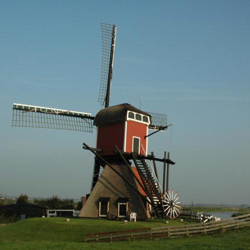 placeholder img alt text