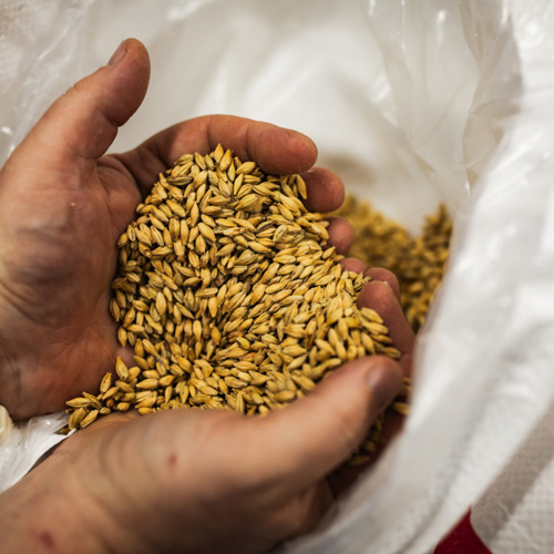 placeholder img alt text