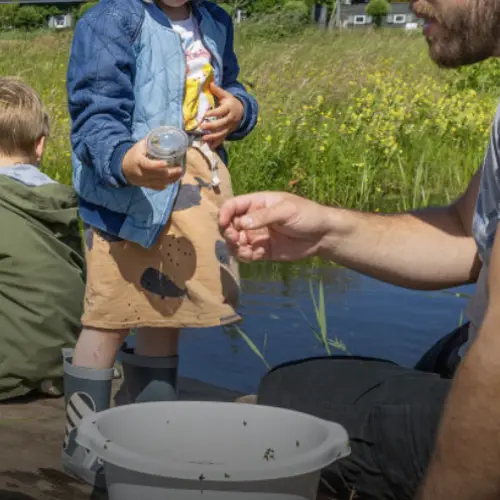 Zomer aan de Oevers: Slootjesexcursie