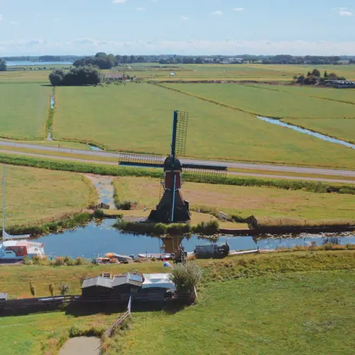Grüne Schleifen: Hoogmade