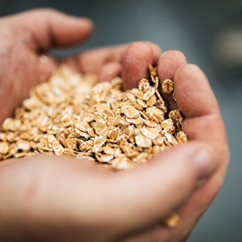 placeholder img alt text