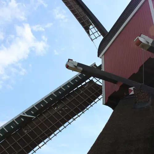 Rijnlandse Molendag