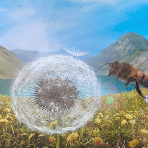 placeholder img alt text