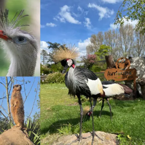 Vogelpark Avifauna