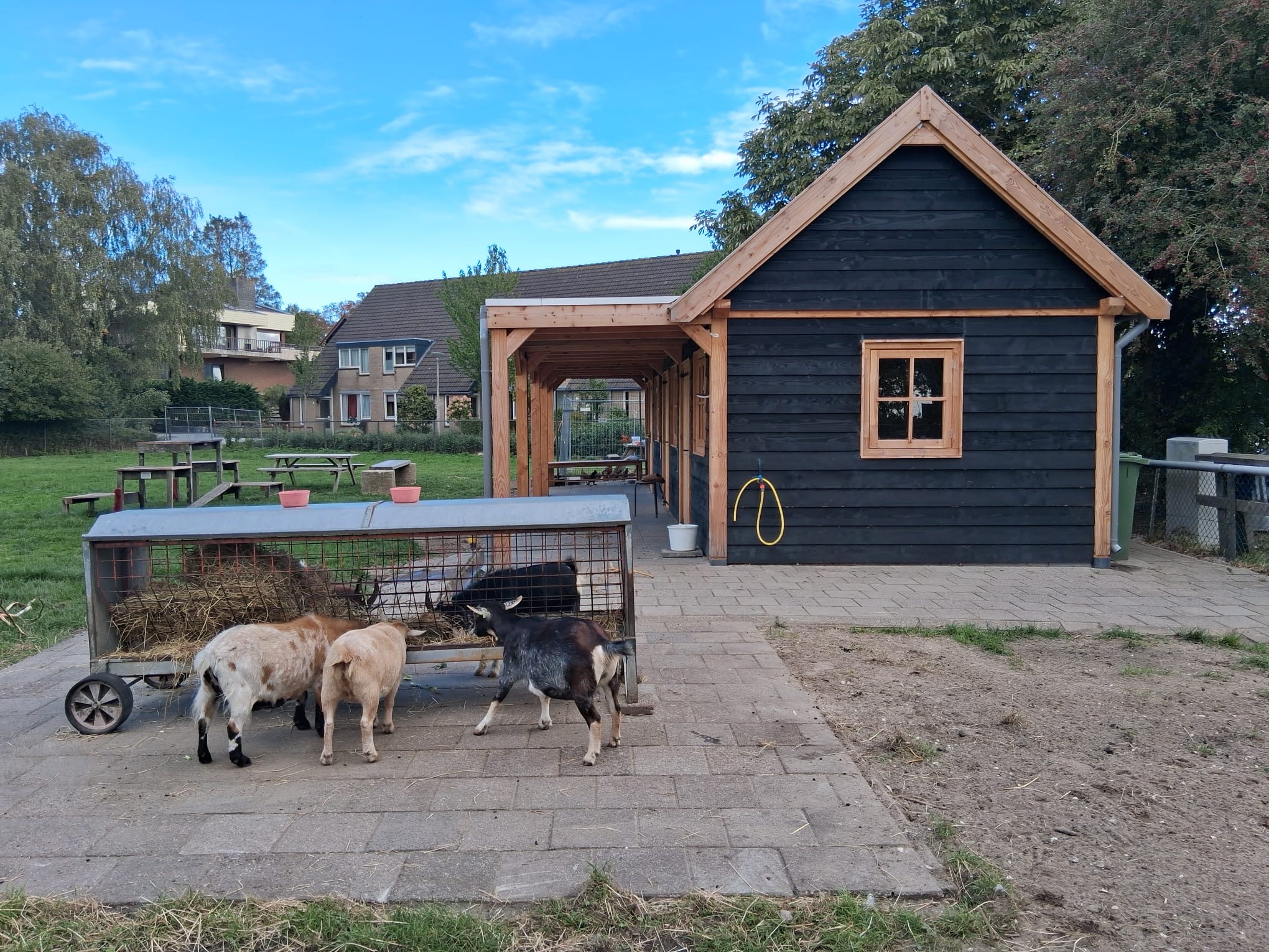 Dierenweide Rijnsaterwoude