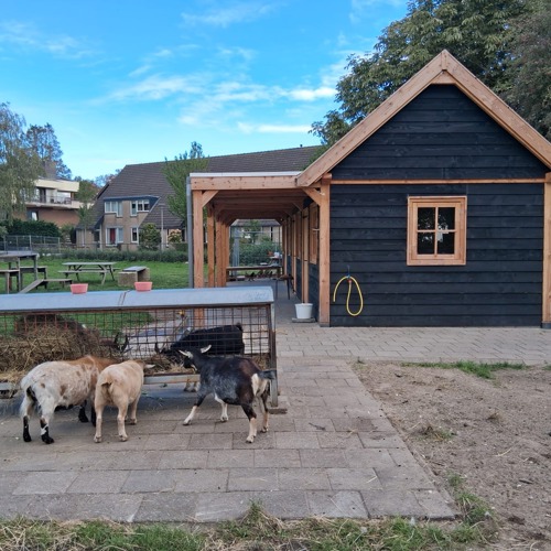 placeholder img alt text