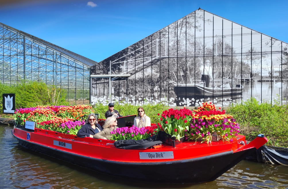 Varen met tulpen