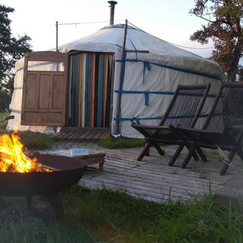 Yurt in Boterhuispolder