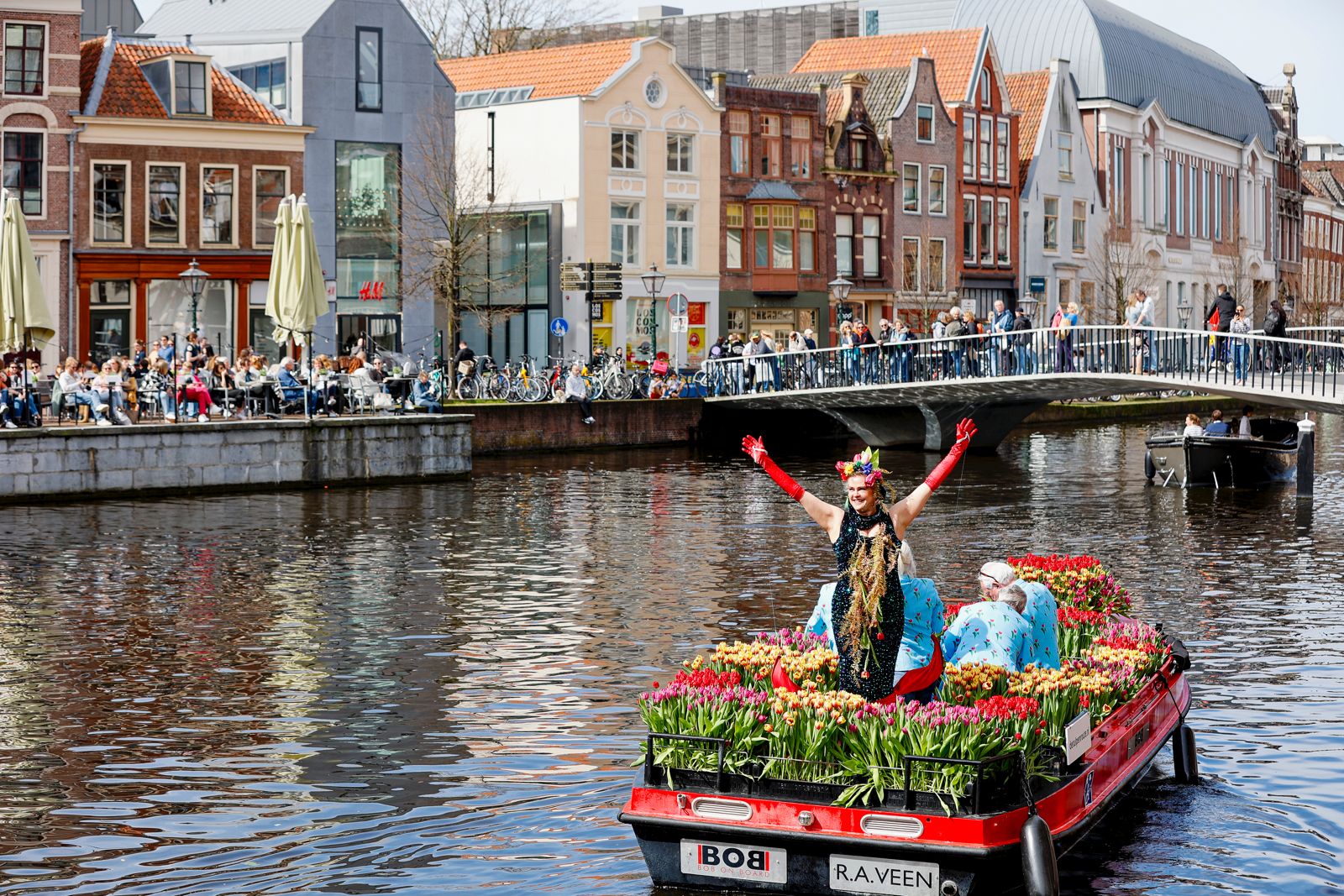 Veenmeermin deelt tulpen uit