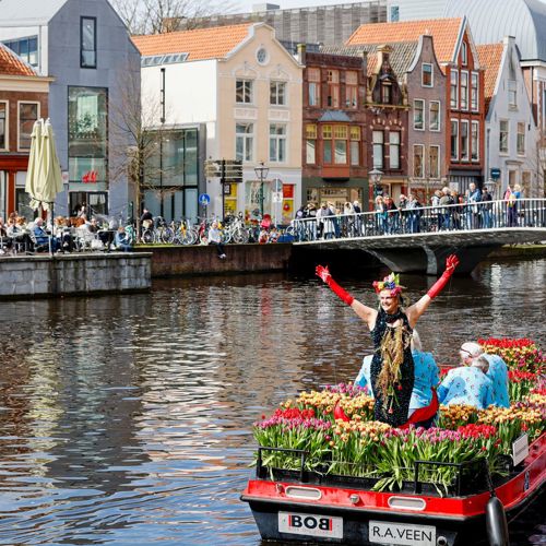 placeholder img alt text