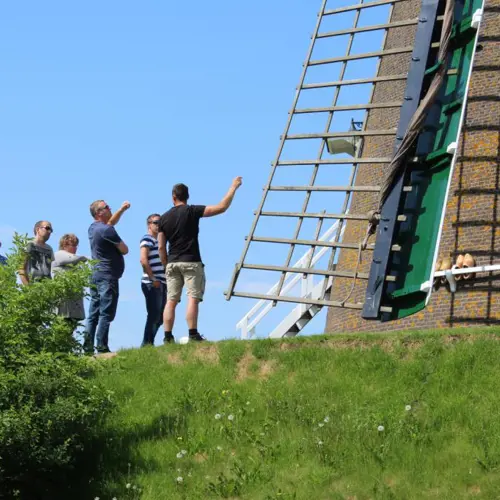 Windmill Working Day