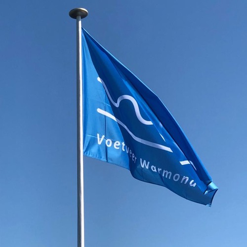 placeholder img alt text