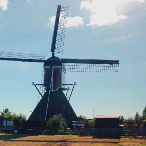 placeholder img alt text