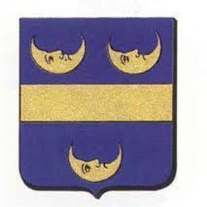 Dorpsraad Rijnsaterwoude