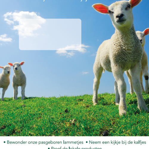 placeholder img alt text