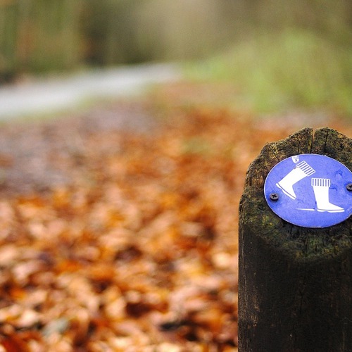 placeholder img alt text