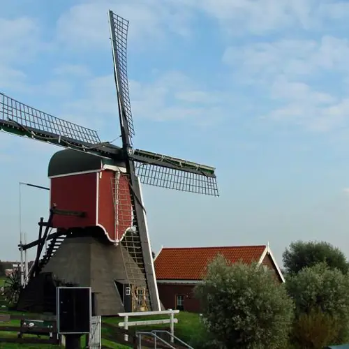 placeholder img alt text