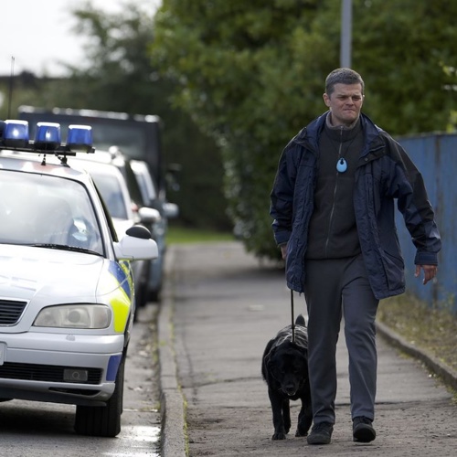 placeholder img alt text