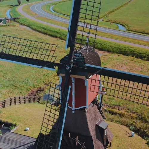 placeholder img alt text