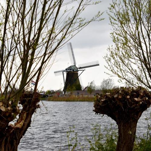 Molenroute Lisse en Alphen aan den Rijn