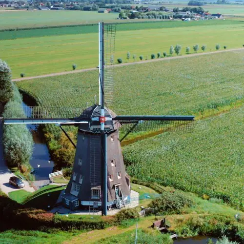 Grüne Schleifen: Leimuiden