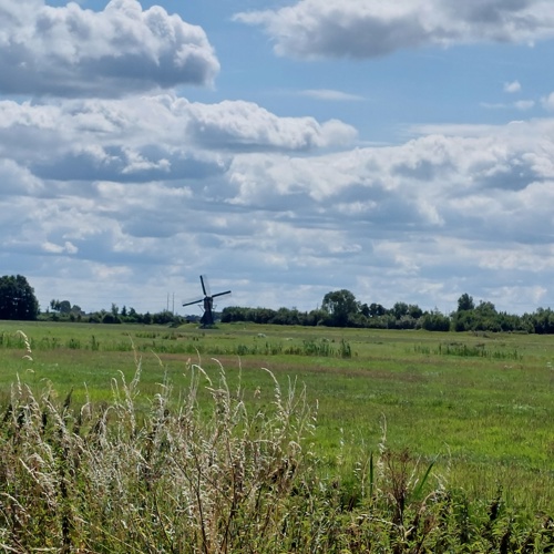 Grüne Schleifen: Kaag