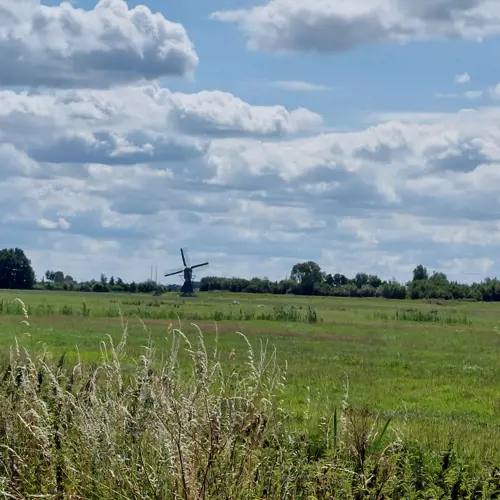 Grüne Schleifen: Kaag