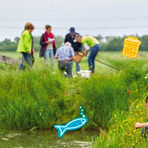 Jeugdmiddag waterdiertjes