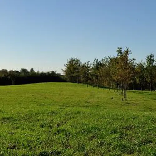 Green Loops: Nieuwe Wetering