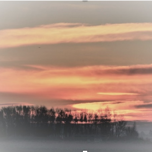 placeholder img alt text