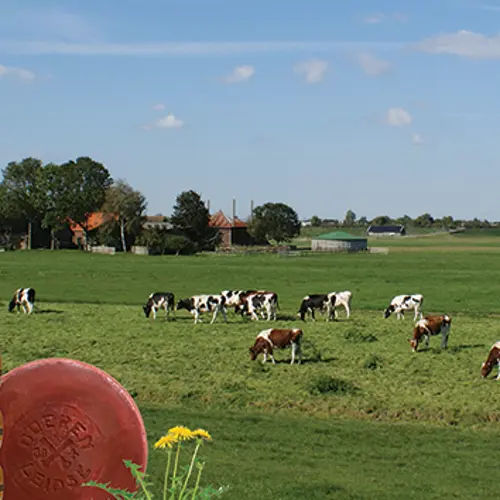 Farmer and Cheese Cycle route