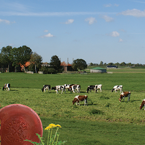 Boer en Kaas Fietsroute