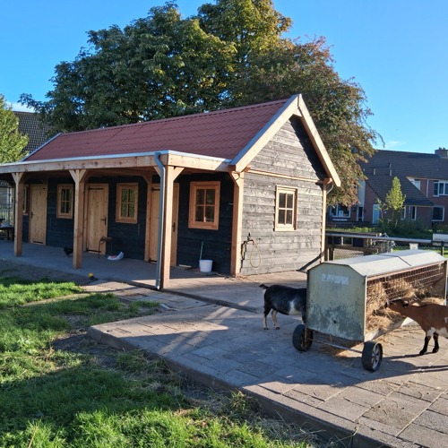 placeholder img alt text