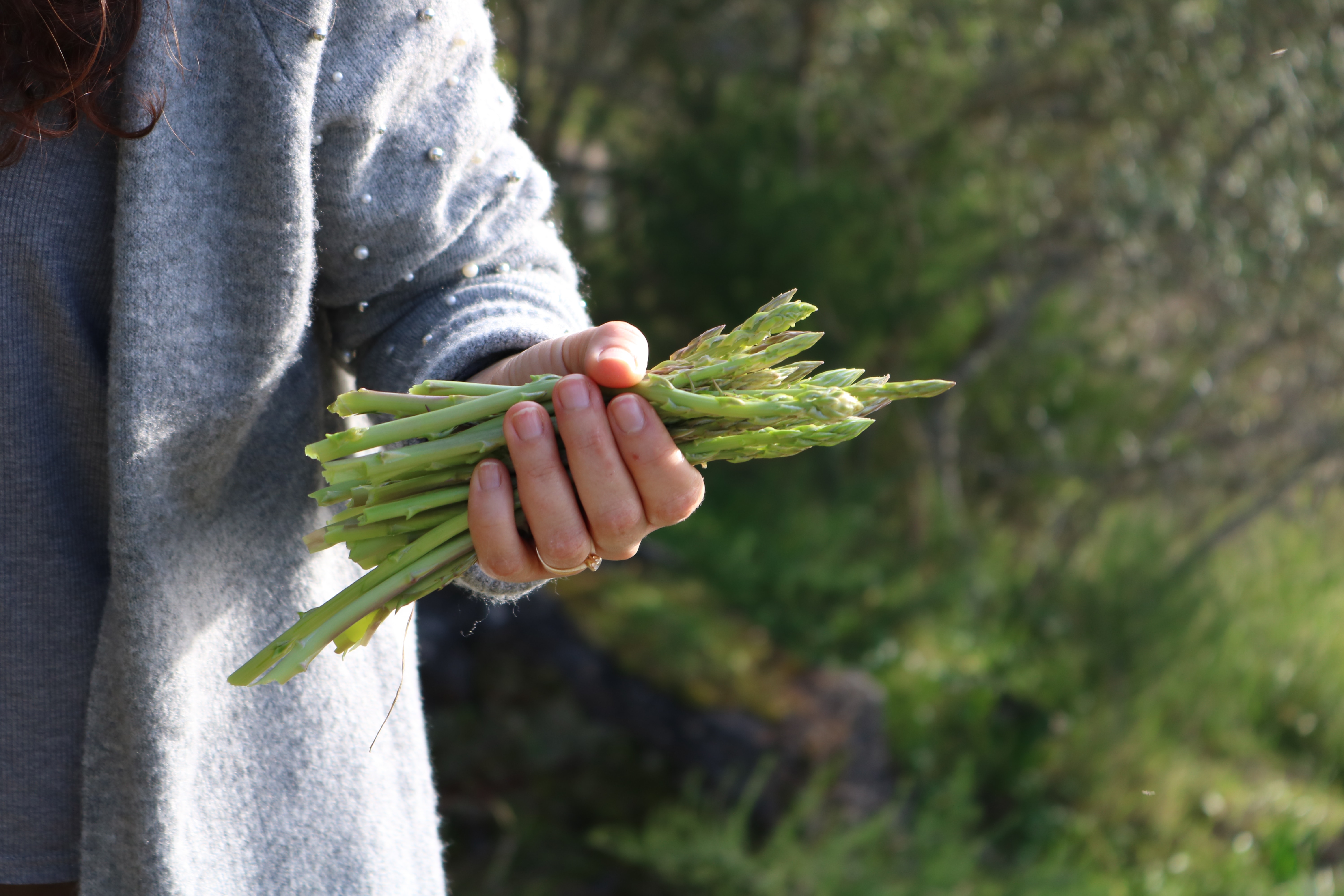 Asperge kookworkshop