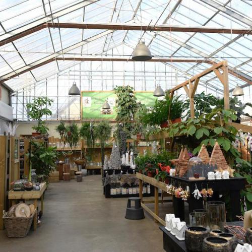 placeholder img alt text