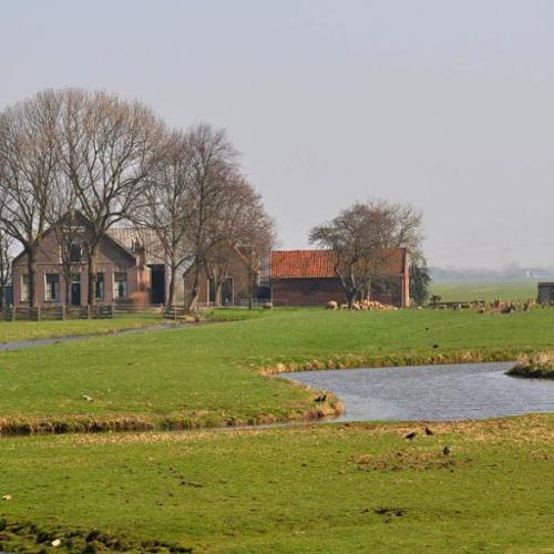 placeholder img alt text