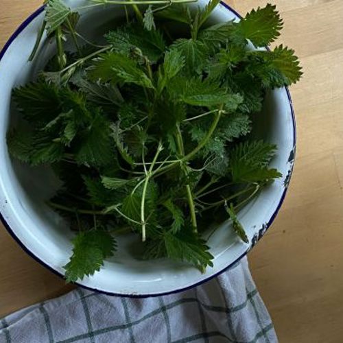 placeholder img alt text