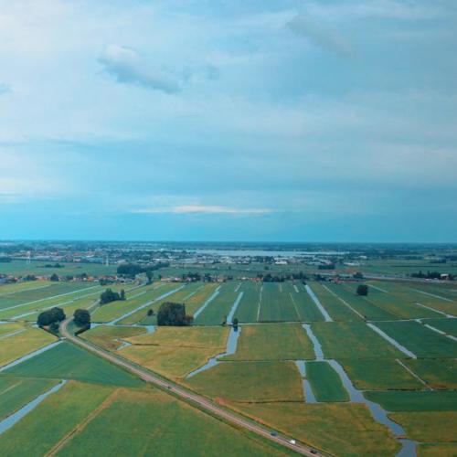 Grüne Schleifen: Oud Ade