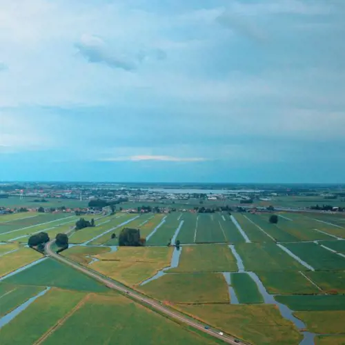 Grüne Schleifen: Oud Ade